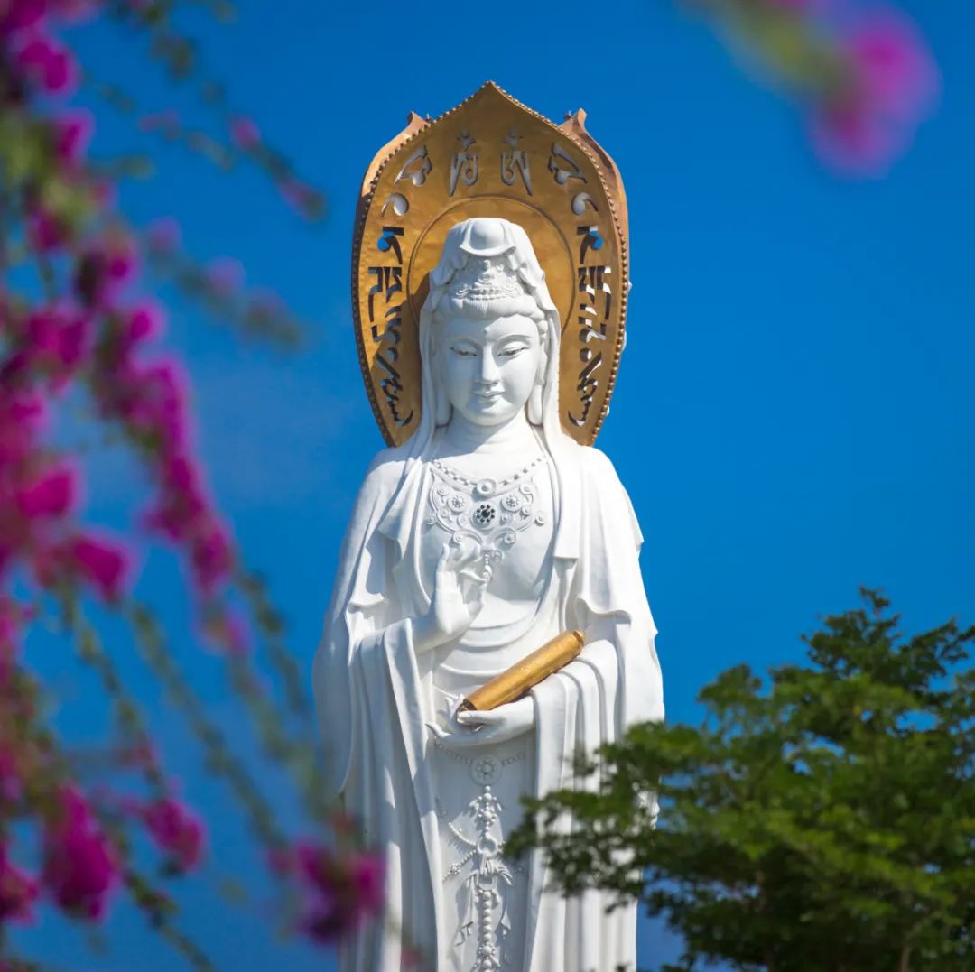 未标题-13.jpg