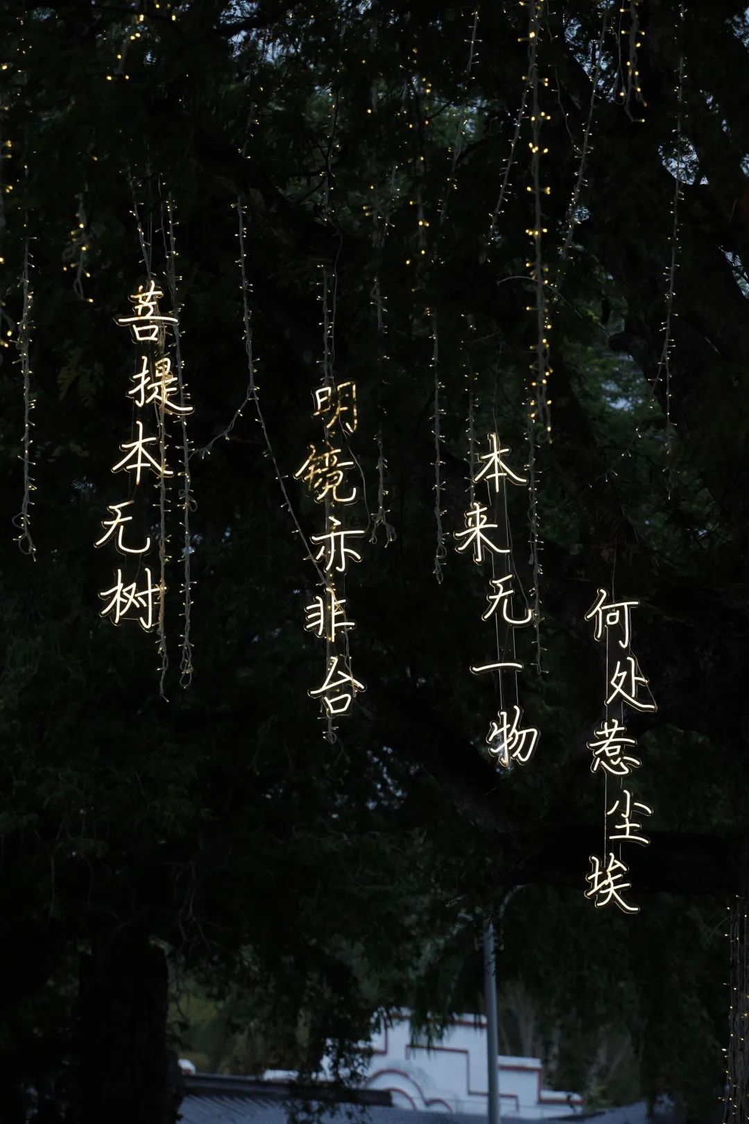 图7.jpg